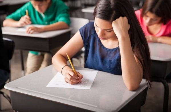 7 Contoh Soal Schedule dan Pembahasannya dalam Pelajaran Bahasa Inggris