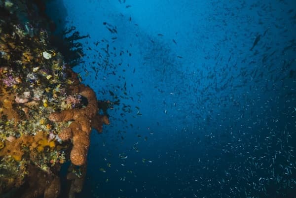 Laut Terdalam di Dunia, Ada yang Memiliki Harta Karun Minyak dan Gas Alam