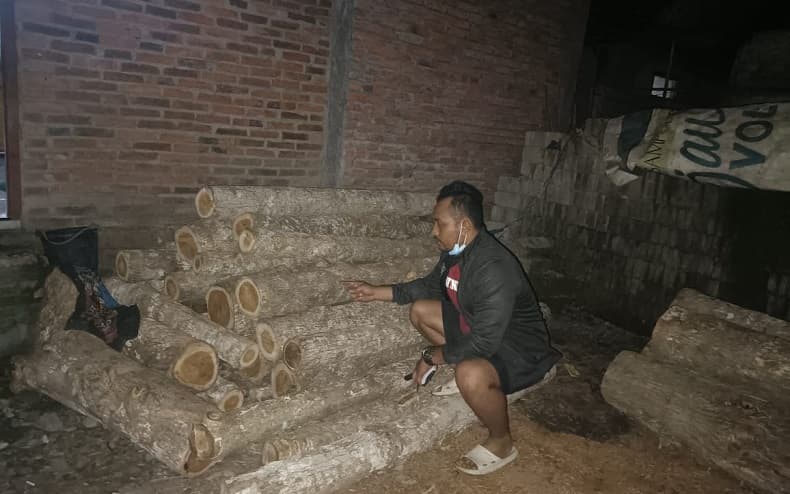 Tangkap 4 Pelaku Pembalakan Liar di Banyuwangi, Polisi Sita 88 Batang Kayu Jati