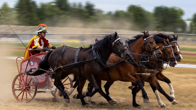5 Hewan yang Pernah Mencetak Sejarah, dari Kurir Senjata Sampai Ikut Acara Keagamaan