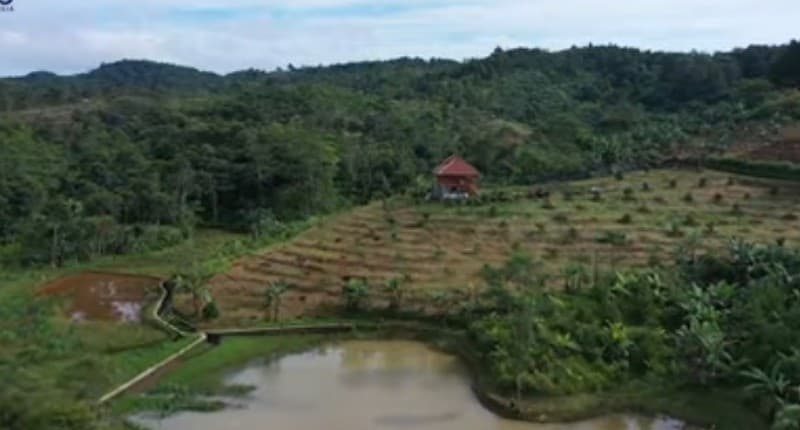 Kampung Unik di Sukabumi, Singgah ke Desa Penghasil Tanaman Langka, Pernah Berkunjung?