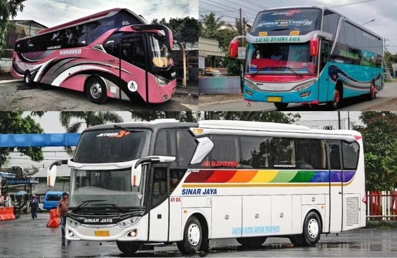 Harga Tiket Bus Mudik Lebaran 2023 Jurusan Jakarta-Temanggung, Ada PO Safari Dharma hingga Sinar Jaya
