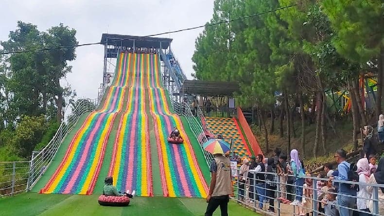 Perosotan Raksasa Sepanjang 120 Meter di Lembang Jadi Favorit Wisatawan