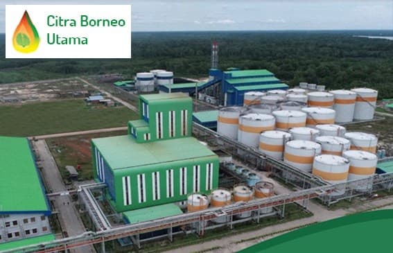 Setelah Ancol dan AKR, Giliran Citra Borneo (CBUT) Angkat Sofyan Djalil Jadi Komisaris Setelah Ancol dan AKR, Giliran Citra Borneo (CBUT) Angkat Sofyan Djalil Jadi Komisaris