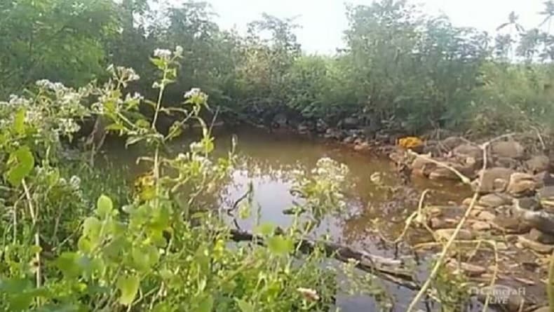 Cerita Sumur Asin di Pemalang, Ramai Didatangi Orang saat Jumat Kliwon