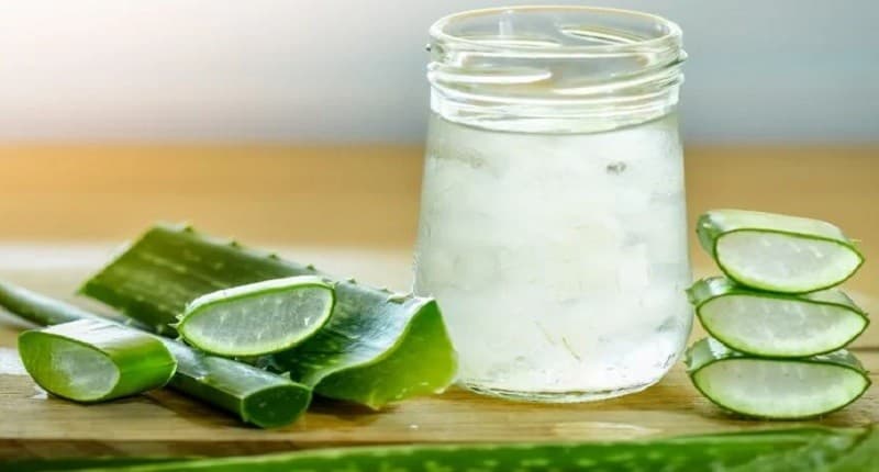Cara Mengolah Lidah Buaya Menjadi Minuman Segar, Makin Nikmat Dipadukan Biji Selasih