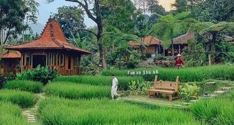 Ide Liburan ke Sentul saat Akhir Pekan, Asyik Singgah ke Pasar Apung dan Sawah Segar