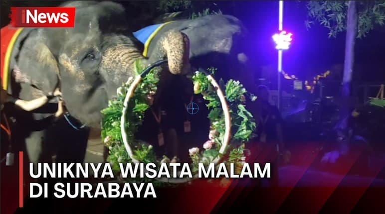 Sensasi Permainan Cahaya dan Binatang Malam di Surabaya Night Zoo