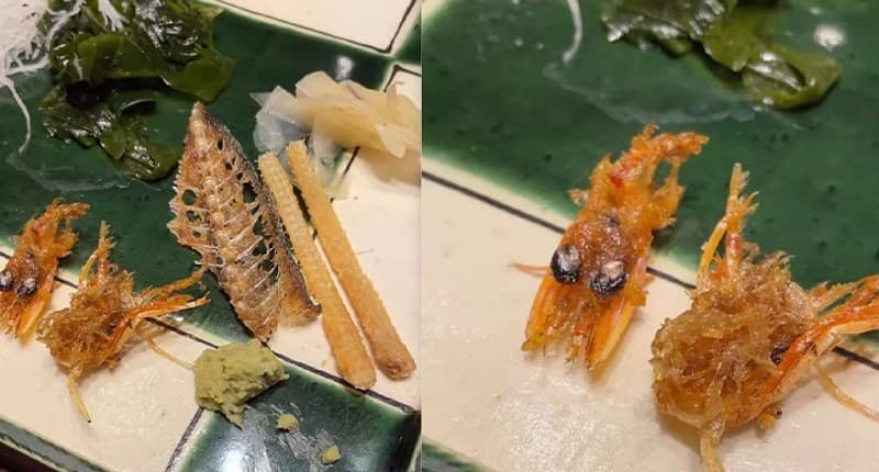 Viral, Restoran Jepang Jual Tulang Ikan Rp2,5 Juta, Ternyata Jadi Camilan Favorit!