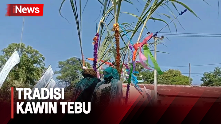 Tradisi Kawin Tebu di Cirebon, Hias Boneka Layaknya Prosesi Pernikahan Manusia