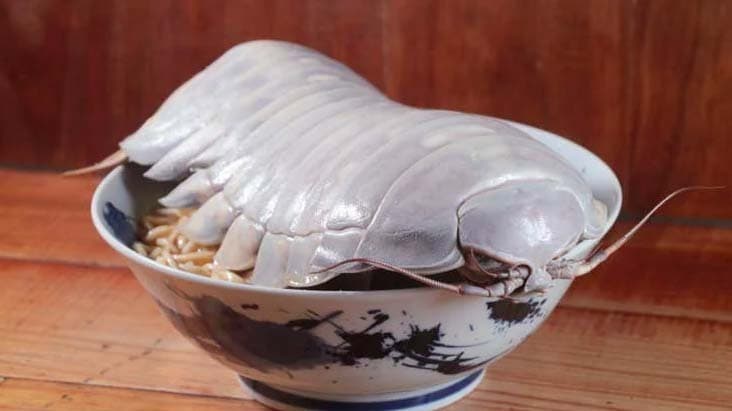 Viral Ada Restoran Sajikan Ramen Pakai Topping Makhluk Laut Mengerikan, Mirip Alien