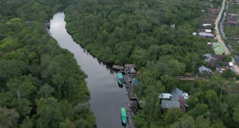 Kampung Unik di Kalimantan Tengah, Singgah ke Desa Suku Dayak Asli, seperti Ini Suasananya! Kampung Unik di Kalimantan Tengah, Singgah ke Desa Suku Dayak Asli, seperti Ini Suasananya!