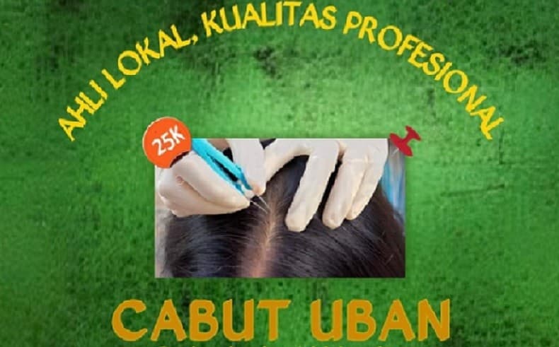 Viral Jasa Cabut Uban, Mahasiswi Ini Pasang Tarif Sejam Rp25.000