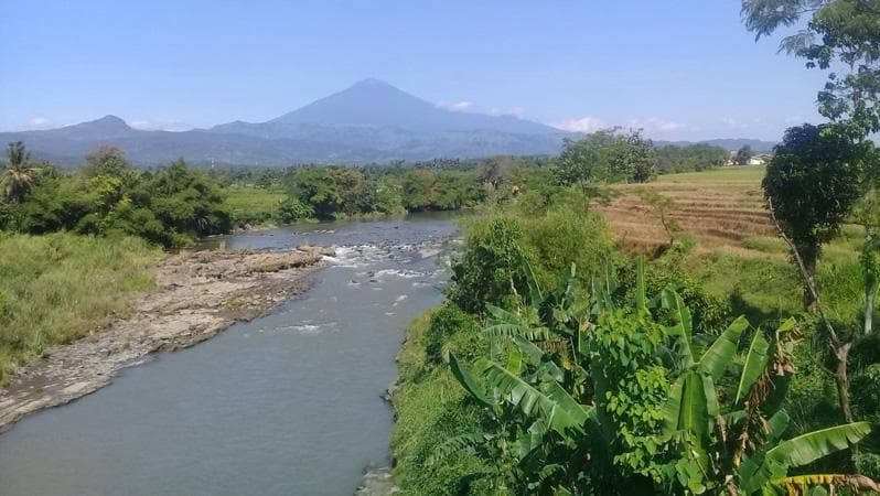 Musim Kemarau, Aliran Sungai Comal Pemalang Menyusut dan Dangkal Musim Kemarau, Aliran Sungai Comal Pemalang Menyusut dan Dangkal