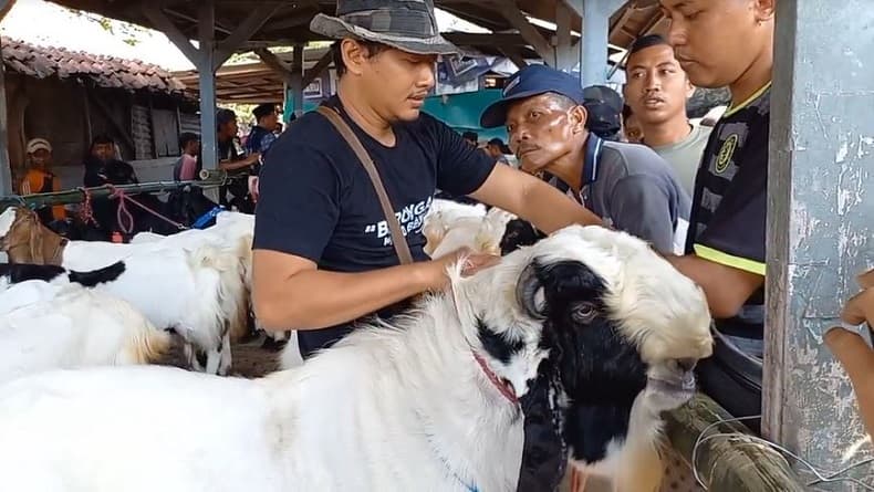 Unik, Ratusan Kambing dengan Harga Fantastis Diikutkan Kontes di Blora