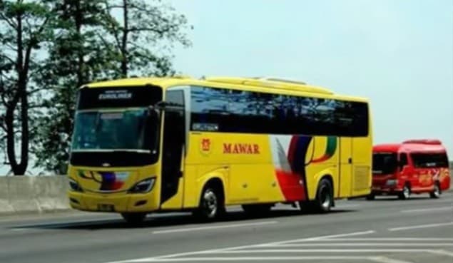 Mengenal PO Mawar, Bus Sapu Jagad Disegani di Masanya Mengenal PO Mawar, Bus Sapu Jagad Disegani di Masanya