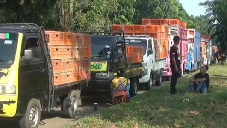 Pengusaha Ayam Potong Mogok Massal di BIC Purwakarta, Kerahkan Armada Demo ke DPR