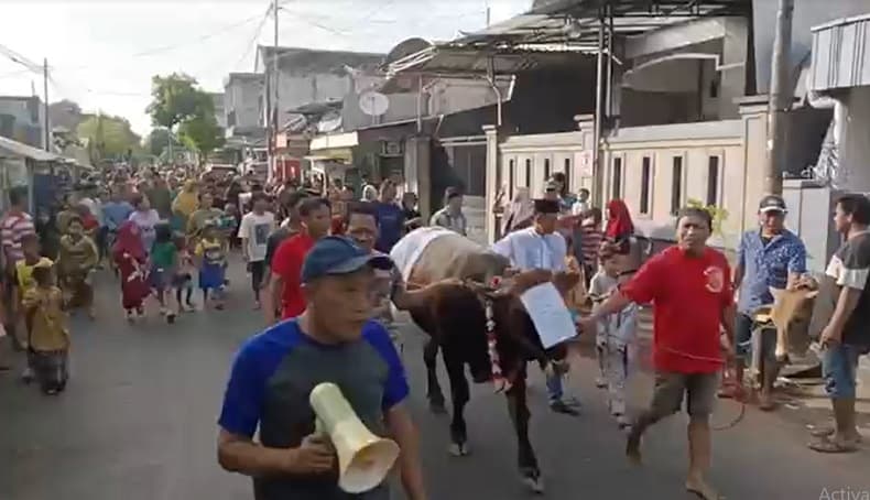 Idul Adha, Warga Probolinggo Hias dan Arak Hewan Kurban Keliling Kampung
