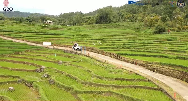 Kampung Unik di Sulawesi Selatan, Hanya di Desa Ini Bisa Ditemukan Beras Merah untuk Kesehatan Kampung Unik di Sulawesi Selatan, Hanya di Desa Ini Bisa Ditemukan Beras Merah untuk Kesehatan