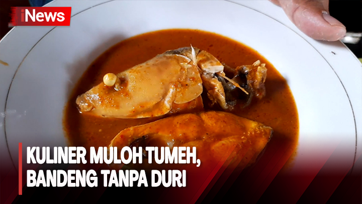 Lezatnya Menikmati Muloh Tumeh, Bandeng Tanpa Duri Khas Aceh