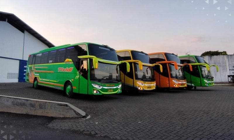 PO Tividi Luncurkan Bus Pariwisata Baru, Tampil Ceria dengan Bodi Warna-warni