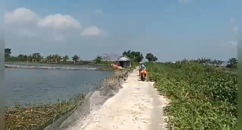 Kampung Unik di Tuban, Hanya di Desa Terpencil Ini Permukimannya Mengapung dan Terisolir saat Hujan