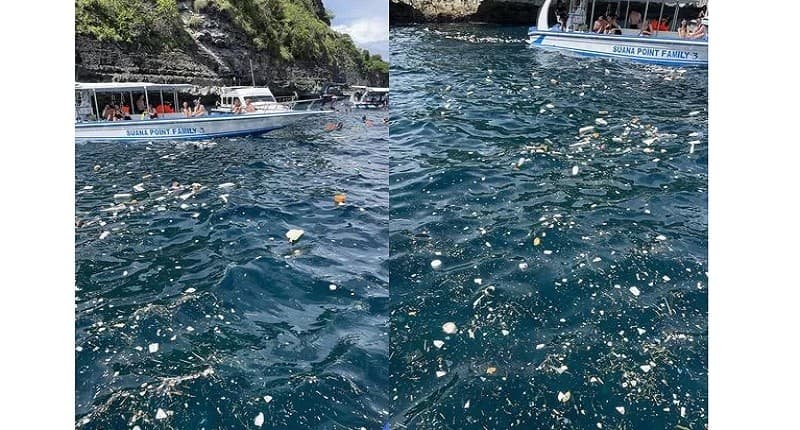 Viral Turis AS Gagal Snorkeling akibat Sampah di Nusa Penida, Kadispar Bali Ungkap Hal Ini!
