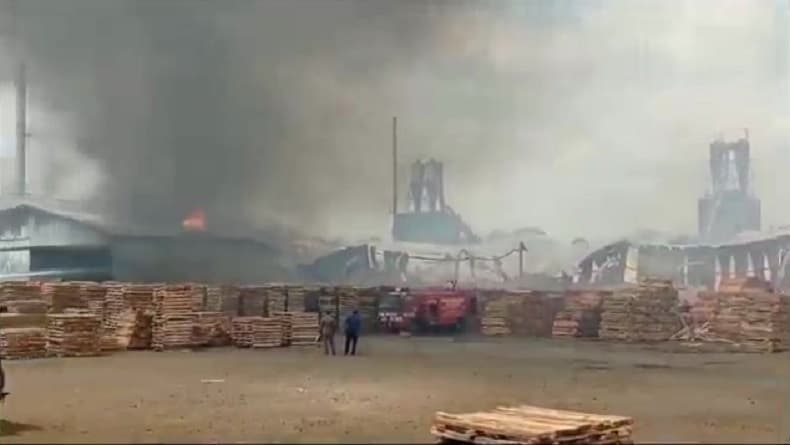 Pabrik Pengolahan Kayu Terbesar di Ciamis Terbakar, Petugas Kesulitan Padamkan Api