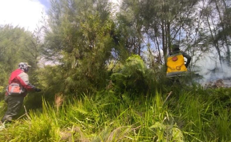 2 Hari Kebakaran di Gunung Semeru Belum Padam, Lokasi Jauh Sulitkan Petugas 2 Hari Kebakaran di Gunung Semeru Belum Padam, Lokasi Jauh Sulitkan Petugas