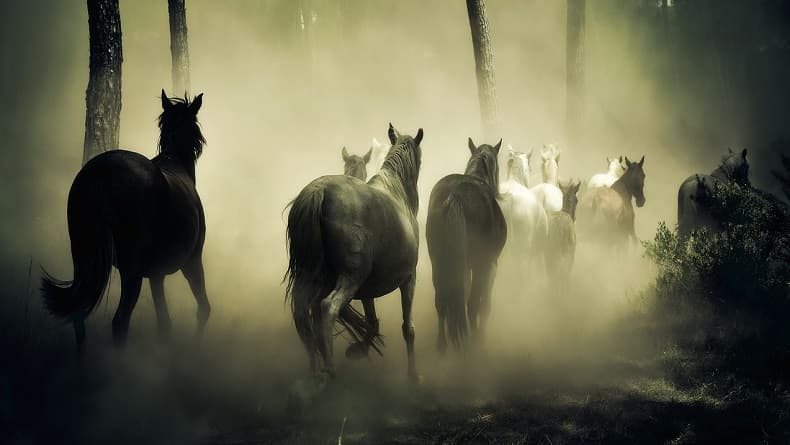 Kisah Pasukan Kuda Sakti Raden Wijaya Dikerahkan Serbu Kerajaan Daha Kediri