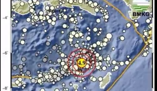 Info BMKG Gempa Terkini Hari Ini di Maluku Tenggara Barat M 4,9
