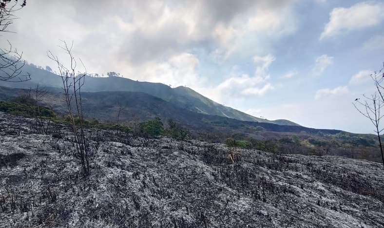 Gunung Arjuno Diduga Sengaja Dibakar Pemburu Liar
