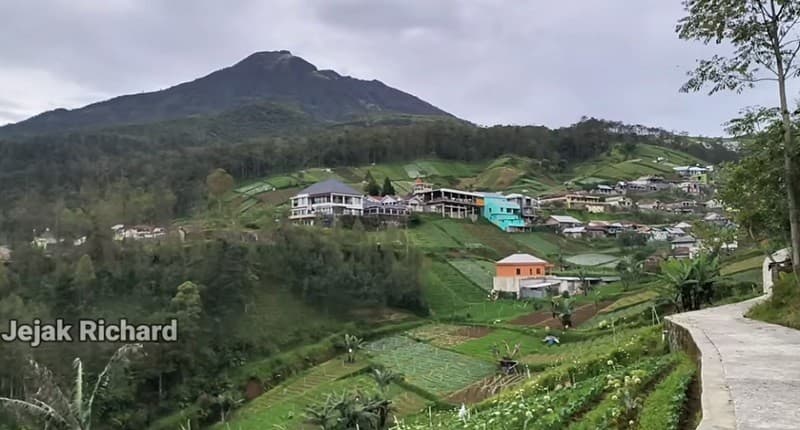 Kampung Unik di Karanganyar, Singgah ke Desa Tersembunyi di Lereng Gunung Ada Ladang Sayur Menakjubkan!