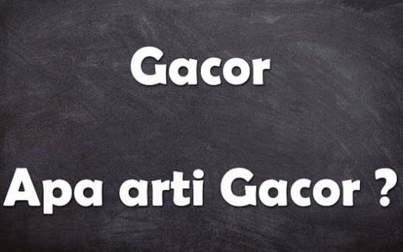 Arti Kata Gacor yang Jadi Bahasa Gaul Kekinian, Ternyata Beragam Maknanya!