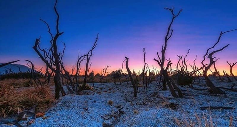 Kampung Unik di Garut, Singgah ke Desa Terpencil Pemandangannya Hutan Mati Menakutkan