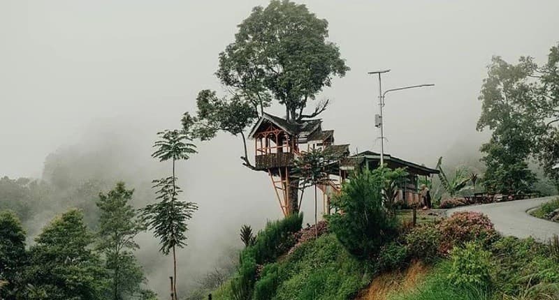 Kampung Unik di Jambi, Singgah ke Desa Terpencil Mirip Negeri Kayangan Semuanya Diselimuti Kabut