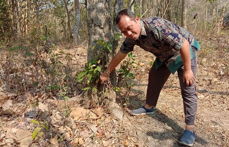 DPRD DIY Soroti Banyak Sumur Bor yang Dibangun Pemerintah Tak Berfungsi