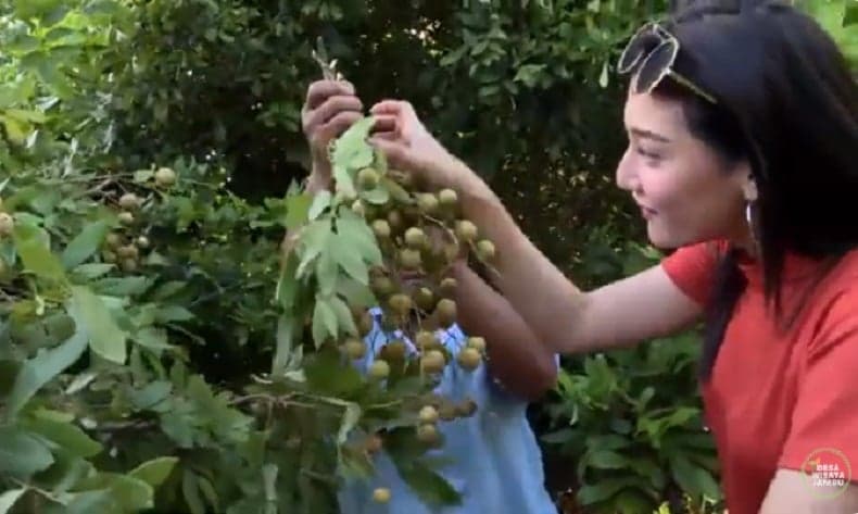 Desa Wisata Jambu Kediri Jawa Timur, Tempat Keindahan dan Kebudayaan Lokal Berkumpul