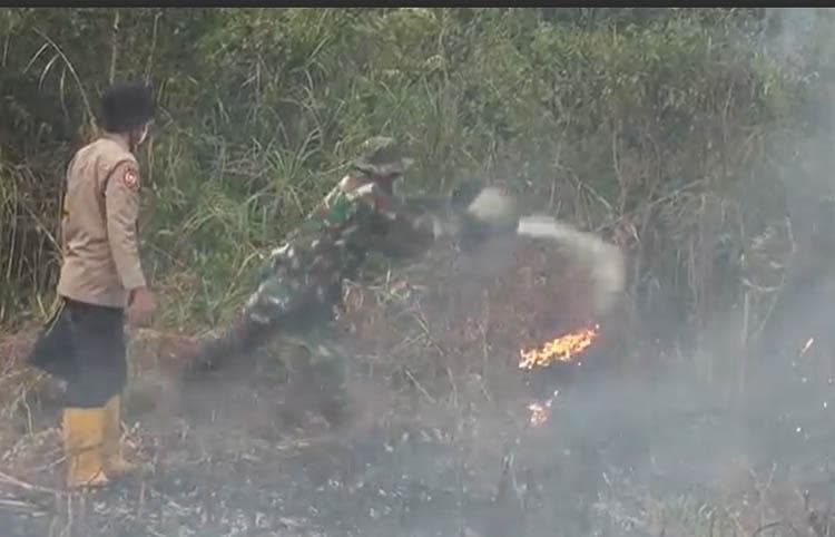 4 Hari Terbakar, Lahan Gambut di Palembang Sulit Dipadamkam 4 Hari Terbakar, Lahan Gambut di Palembang Sulit Dipadamkam