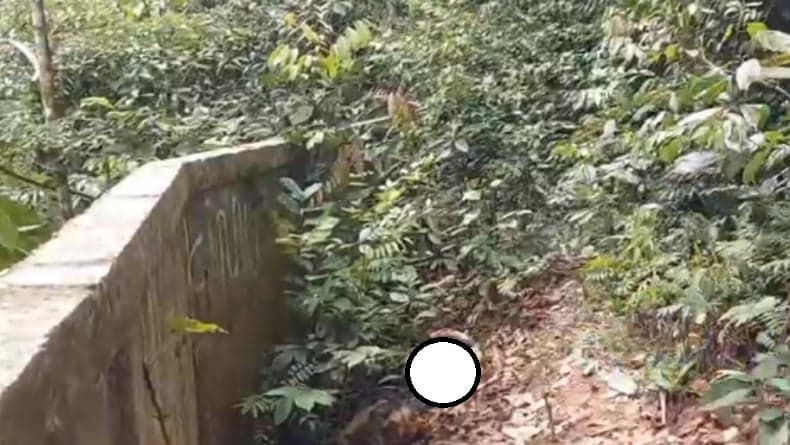 Kasus Mayat Perempuan di Samping Kolam Buaya, Polres Berau: Diduga Dibunuh