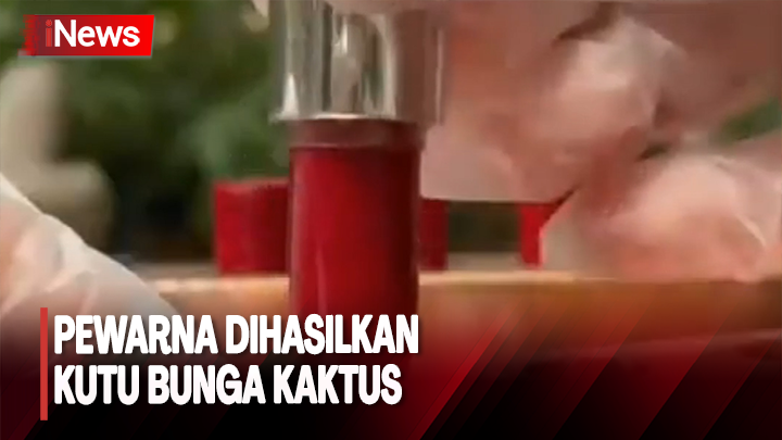 Makanan dan Minuman Berbahan Pewarna Karmin  Diharamkan  PWNU Jatim