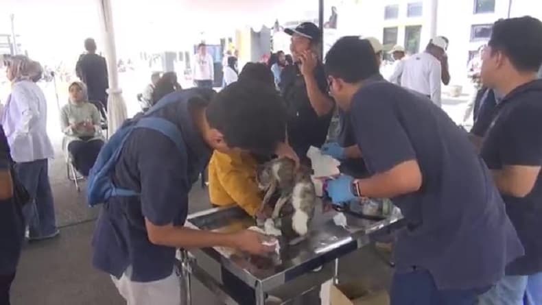 Hari Rabies Sedunia, Ratusan Warga Subang Antusias Vaksin Hewan Peliharaan Hari Rabies Sedunia, Ratusan Warga Subang Antusias Vaksin Hewan Peliharaan