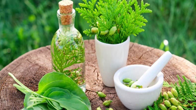 Mengenal Apa Itu Fitofarmaka, Disebut sebagai Obat Masa Depan Mengenal Apa Itu Fitofarmaka, Disebut sebagai Obat Masa Depan