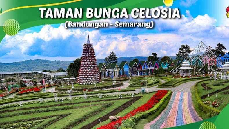 Taman Bunga Celosia Semarang, Harga Tiket hingga Jam Operasional Taman Bunga Celosia Semarang, Harga Tiket hingga Jam Operasional