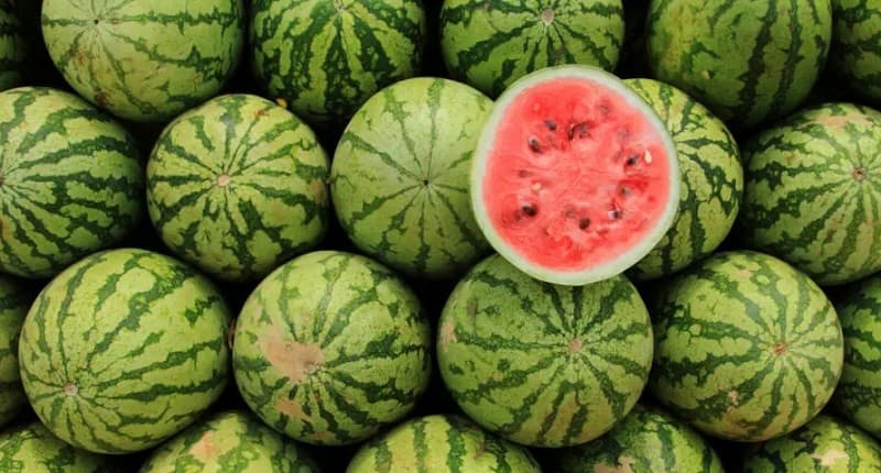 Negara Penghasil Semangka Terbesar di Dunia, Ada Indonesia? 