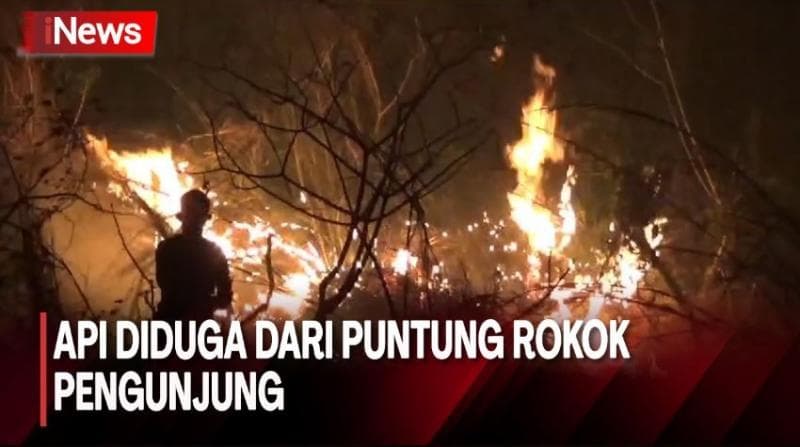 Bukit Kawasan Wisata Teropong Kota Bandar Lampung Terbakar
