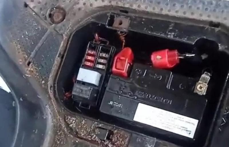 Viral Motor Matik Jadi Sarang Kecoa, Gimana Cara Mencegahnya?