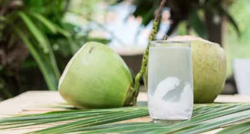 Cara Minum Kelapa Hijau untuk Obat, Nikmat Dibuat Wedang hingga Jus