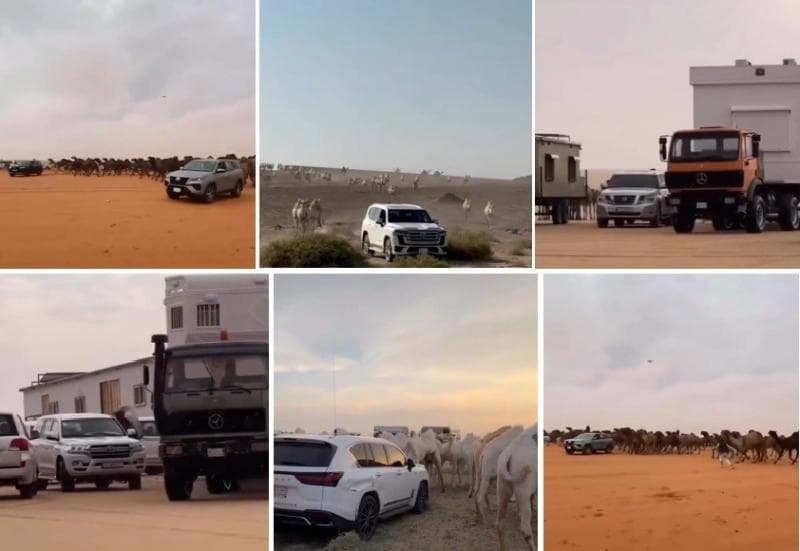 Viral Lexus dan Fortuner di Arab Dipakai Ngembala Unta, Netizen: Di Sini Penguasa Jalanan