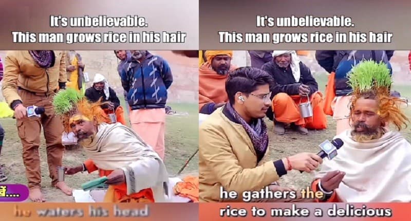 Viral Seorang Pria Nekat Tanam Padi di Kepala, Ternyata Ini Alasannya!